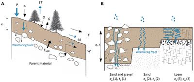 Prediction of Soil Formation as a Function of Age Using the Percolation Theory Approach